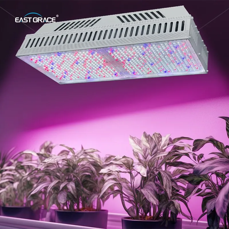 1930E High PPFD 3.0Umol/J 1200W Full Spectrum LED Grow Light Fixture For Indoor Hydroponic Plants Greenhouse